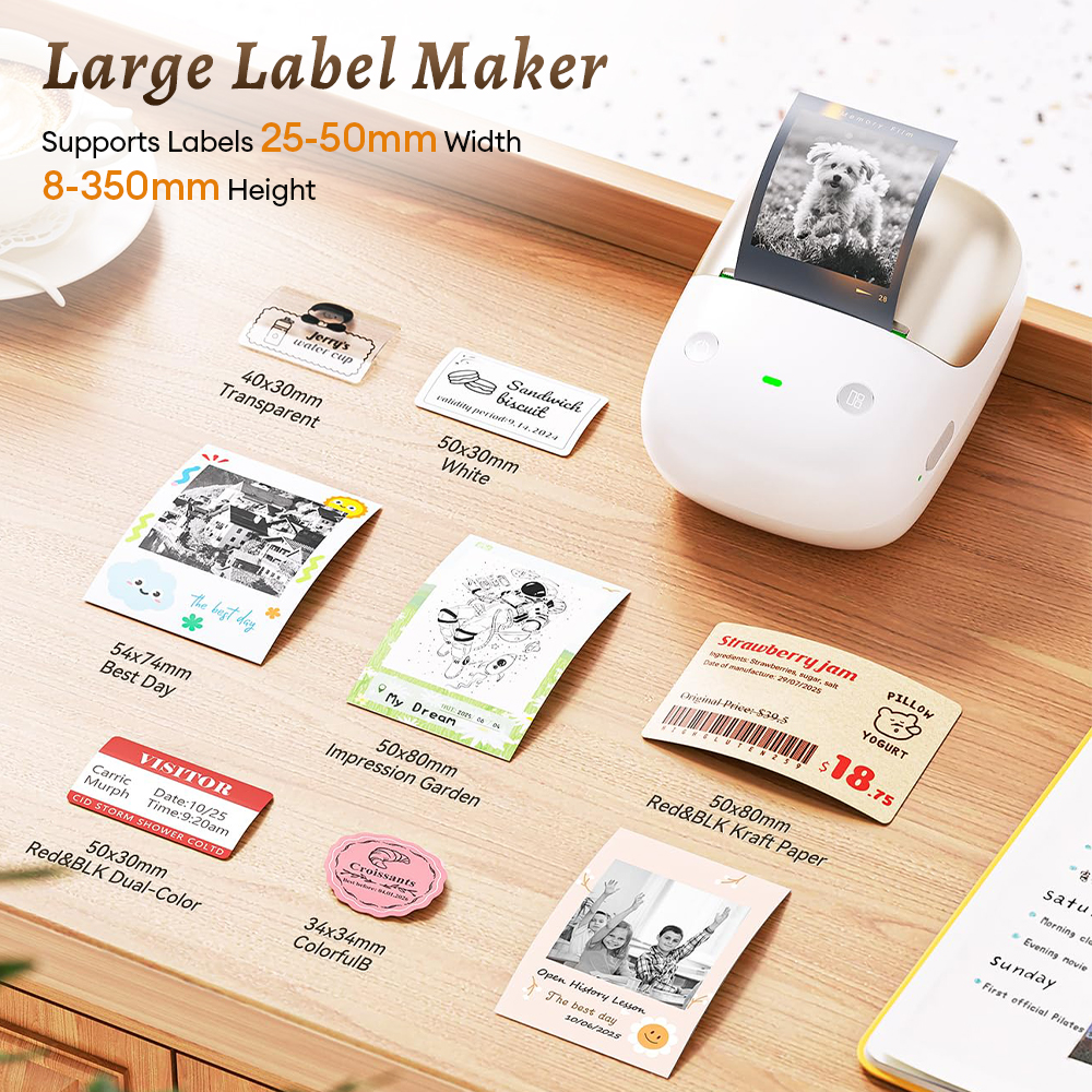 Niimbot B2Pro 300DPI Portable  - огляд і ціна Commercial Printing Network
